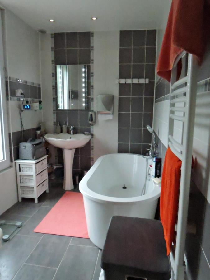 Les Pingouins De La Marne Bed and Breakfast Le Perreux-Sur-Marne Εξωτερικό φωτογραφία