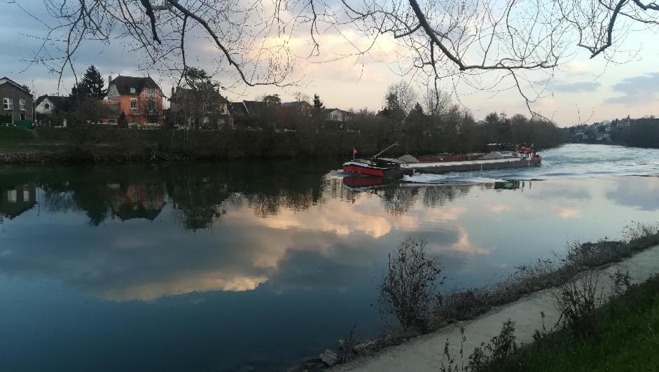 Les Pingouins De La Marne Bed and Breakfast Le Perreux-Sur-Marne Εξωτερικό φωτογραφία