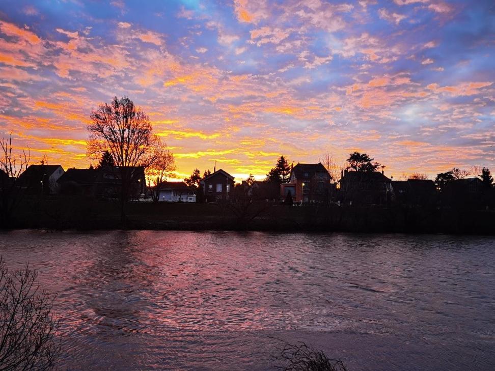 Les Pingouins De La Marne Bed and Breakfast Le Perreux-Sur-Marne Εξωτερικό φωτογραφία